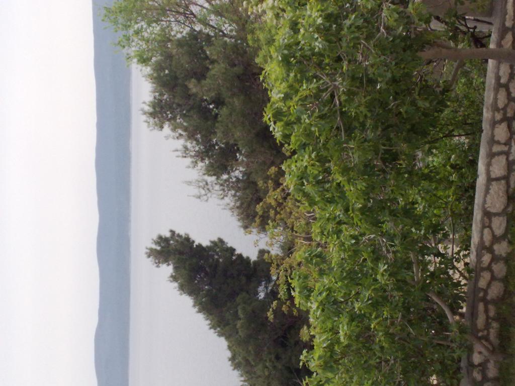 Appartement Mladina