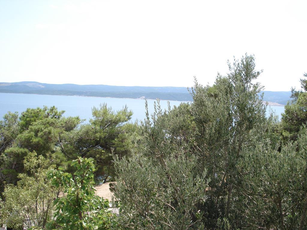 Mladina