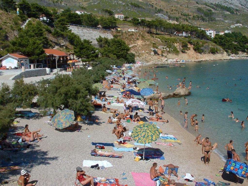 Appartement Mladina Mimice